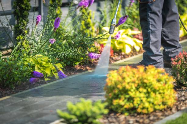 Reliable Bloomingburg, OH Pressure Washing Services Solutions